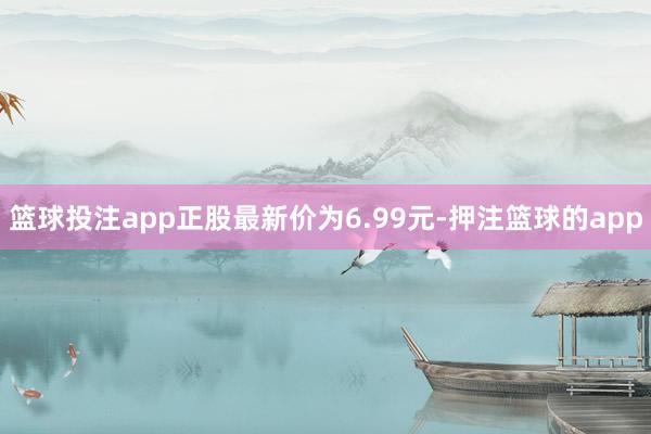 篮球投注app正股最新价为6.99元-押注篮球的app
