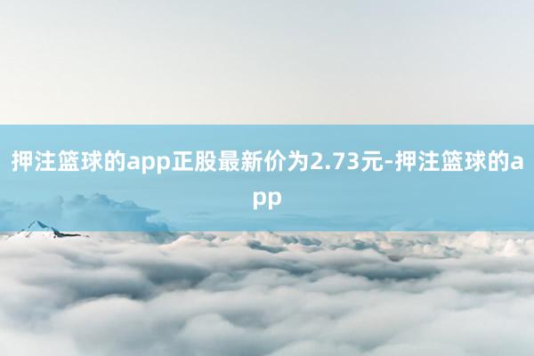 押注篮球的app正股最新价为2.73元-押注篮球的app