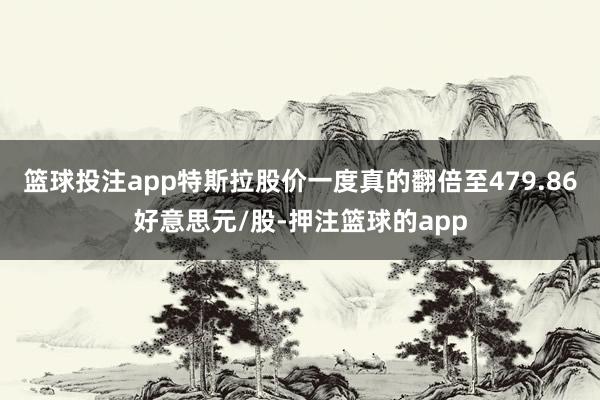篮球投注app特斯拉股价一度真的翻倍至479.86好意思元/股-押注篮球的app