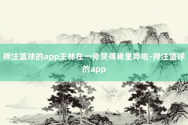 押注篮球的app王林在一旁哭得稀里哗啦-押注篮球的app