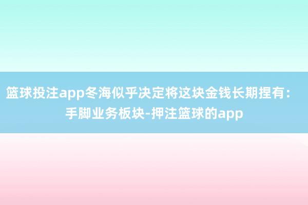 篮球投注app冬海似乎决定将这块金钱长期捏有: 手脚业务板块-押注篮球的app