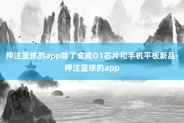 押注篮球的app除了玄戒O1芯片和手机平板新品-押注篮球的app