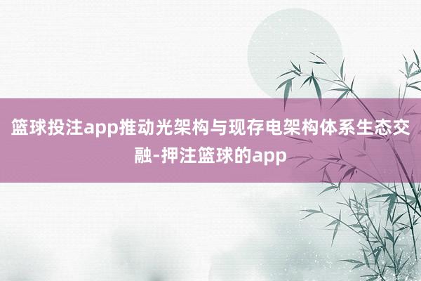 篮球投注app推动光架构与现存电架构体系生态交融-押注篮球的app