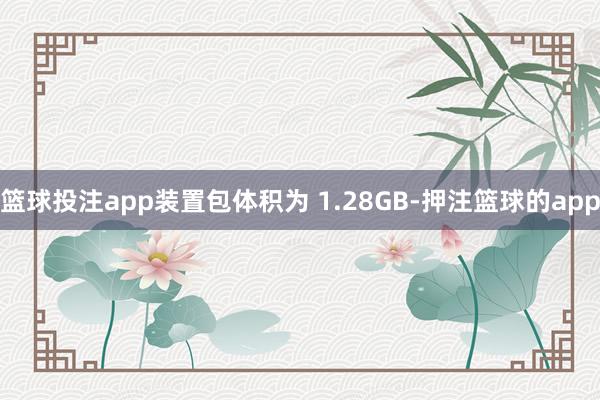 篮球投注app装置包体积为 1.28GB-押注篮球的app