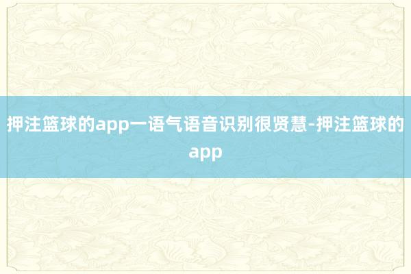 押注篮球的app一语气语音识别很贤慧-押注篮球的app