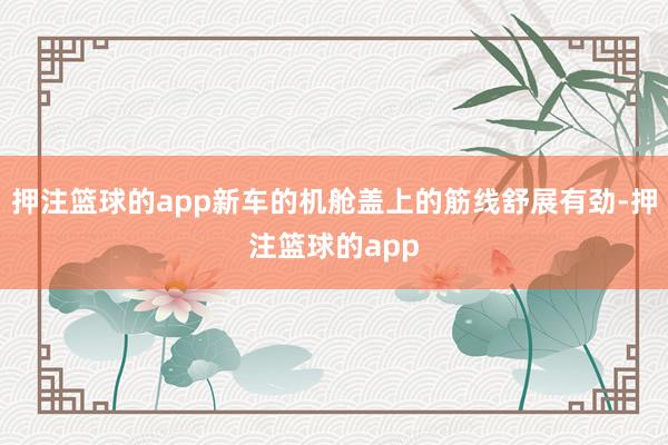 押注篮球的app新车的机舱盖上的筋线舒展有劲-押注篮球的app