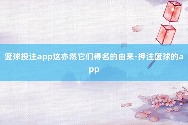 篮球投注app这亦然它们得名的由来-押注篮球的app