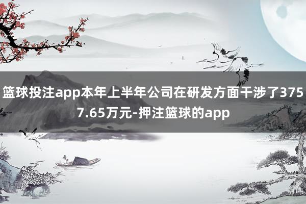 篮球投注app本年上半年公司在研发方面干涉了3757.65万元-押注篮球的app