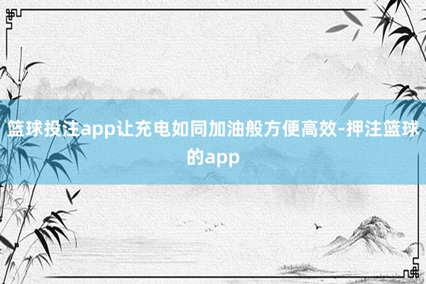 篮球投注app让充电如同加油般方便高效-押注篮球的app