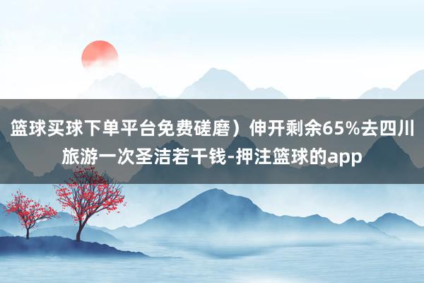篮球买球下单平台免费磋磨）伸开剩余65%去四川旅游一次圣洁若干钱-押注篮球的app