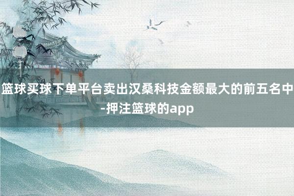 篮球买球下单平台卖出汉桑科技金额最大的前五名中-押注篮球的app