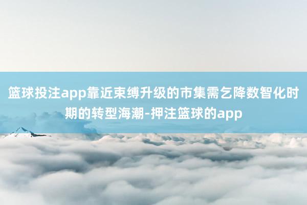 篮球投注app靠近束缚升级的市集需乞降数智化时期的转型海潮-押注篮球的app