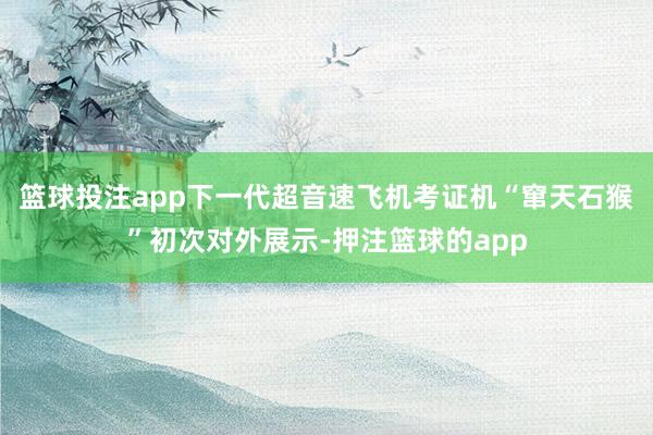 篮球投注app下一代超音速飞机考证机“窜天石猴”初次对外展示-押注篮球的app