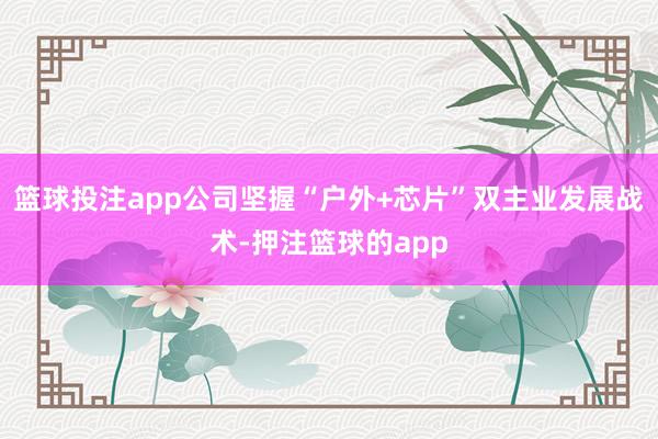 篮球投注app公司坚握“户外+芯片”双主业发展战术-押注篮球的app