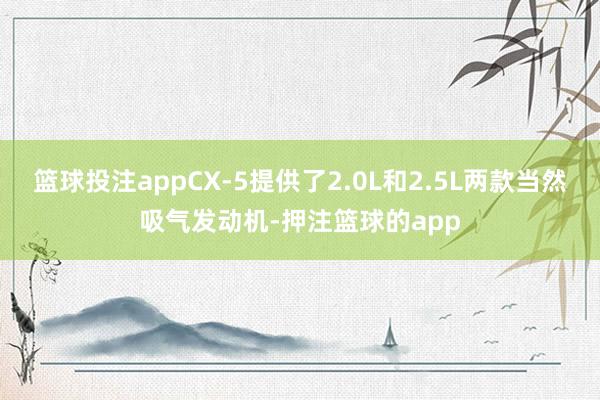 篮球投注appCX-5提供了2.0L和2.5L两款当然吸气发动机-押注篮球的app