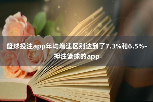 篮球投注app年均增速区别达到了7.3%和6.5%-押注篮球的app