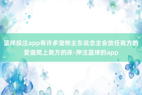 篮球投注app有许多宠物主东说念主会放任我方的爱宠爬上我方的床-押注篮球的app